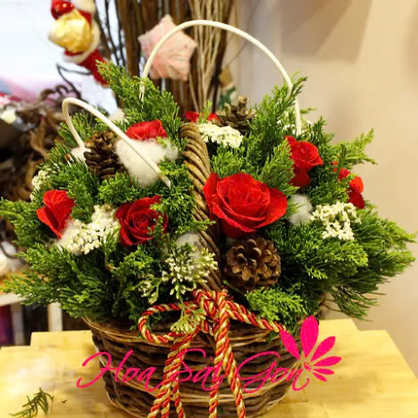 Hương nồng mùa giáng sinh - HSG49