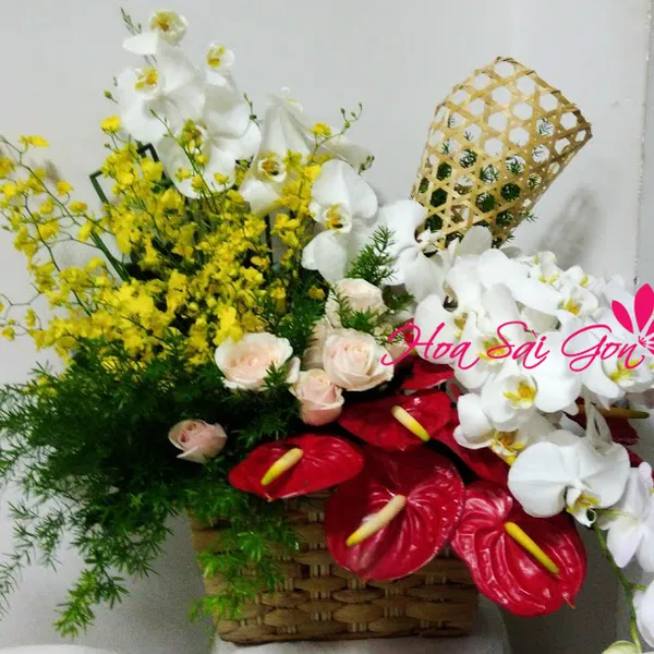 Làn gió mới HSG103