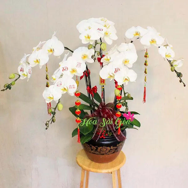 Lộc tài vô tận PL56