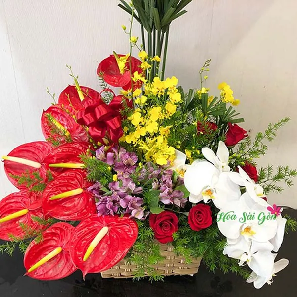 Lời chúc thành công HSG207