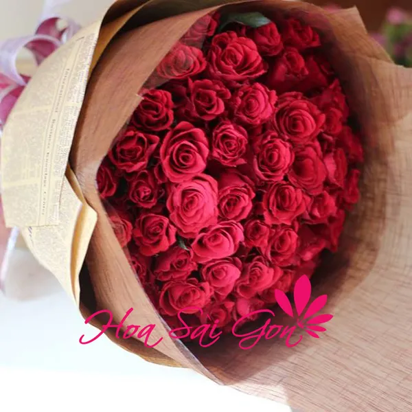 Lời hẹn ước - HSG 113