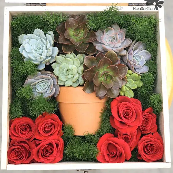 Lời thân thương HSG313