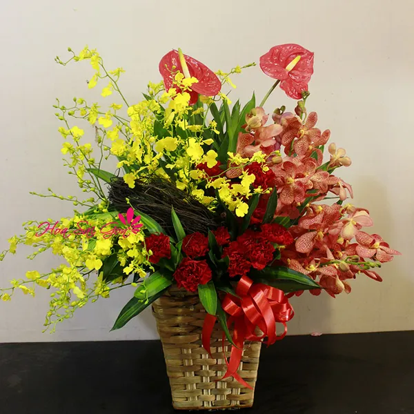 Lời thì thầm của gió HSG163