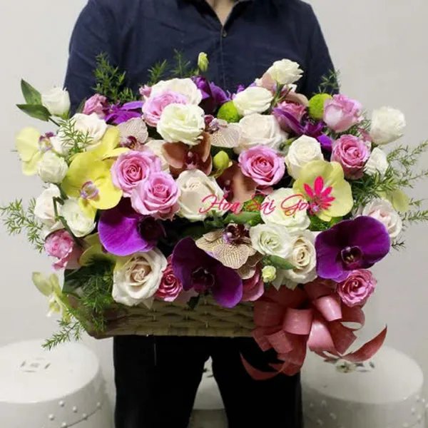 Lung linh sắc màu HSG157