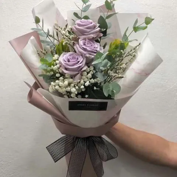 Rộn ràng sắc thắm - HSG351