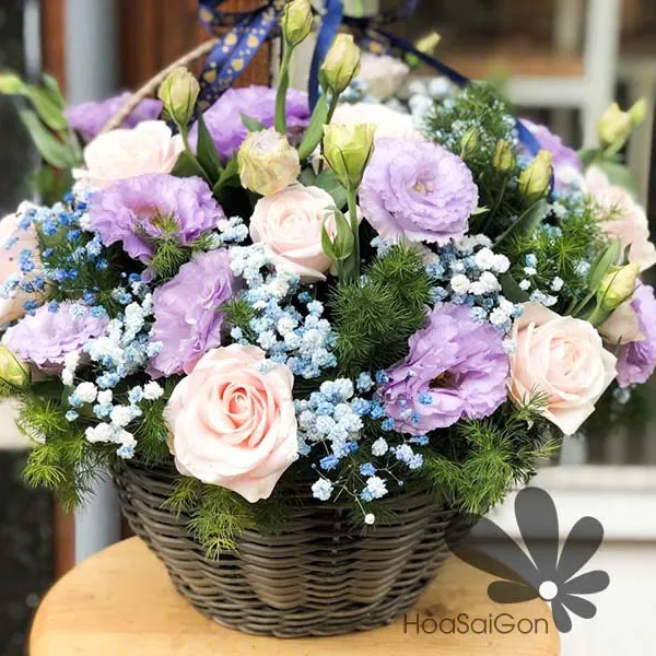 Màu hoàng hôn HSG292