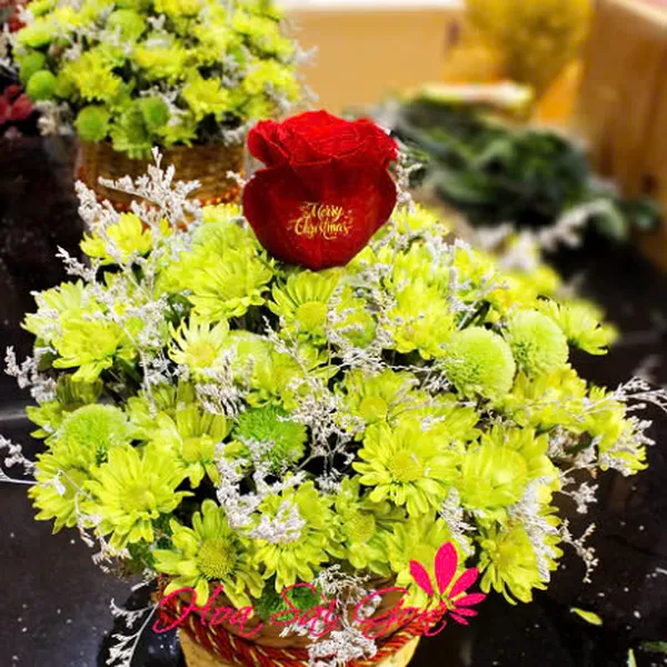 Merry Christmas - HSG53