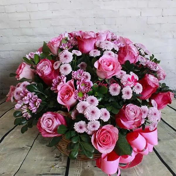 Mộng hồng tình yêu HSG201