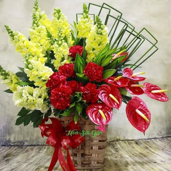 Mừng ngày rực rỡ HSG219 