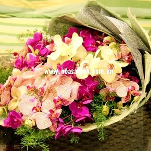 Mừng ngày sinh nhật - HB87