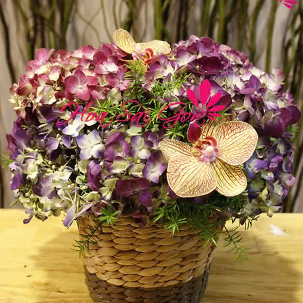 Nắng chiều - HSG39