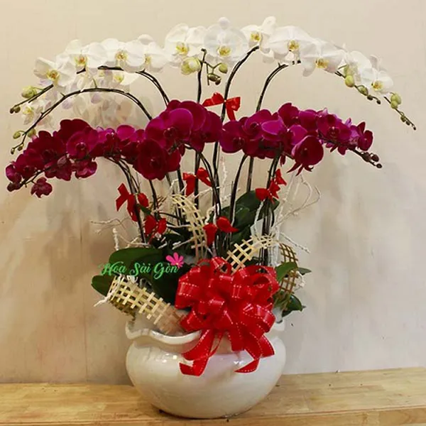 Nét duyên ngày Tết PL45