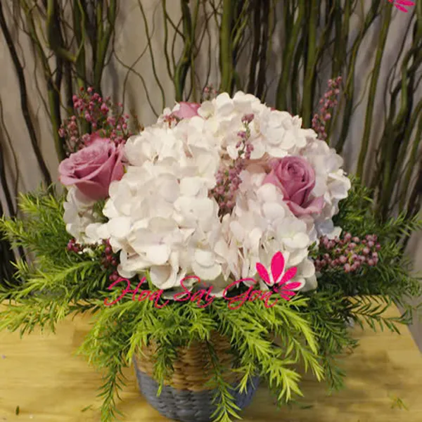 Ngất ngây - HSG44