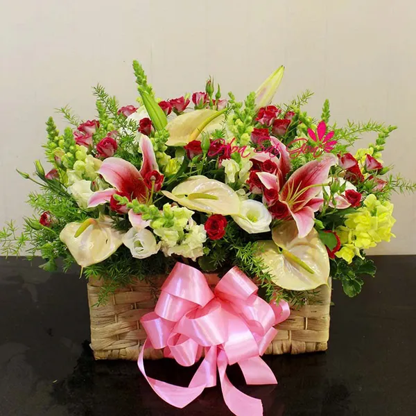 Ngẫu hứng HSG138