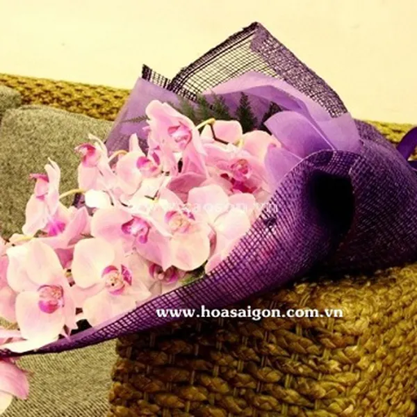 Ngày hạnh phúc - HB102