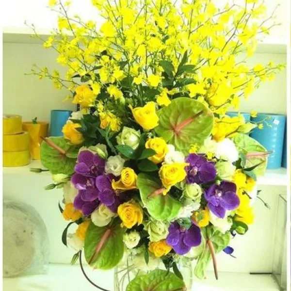 Ngày mới rực rỡ - CB20