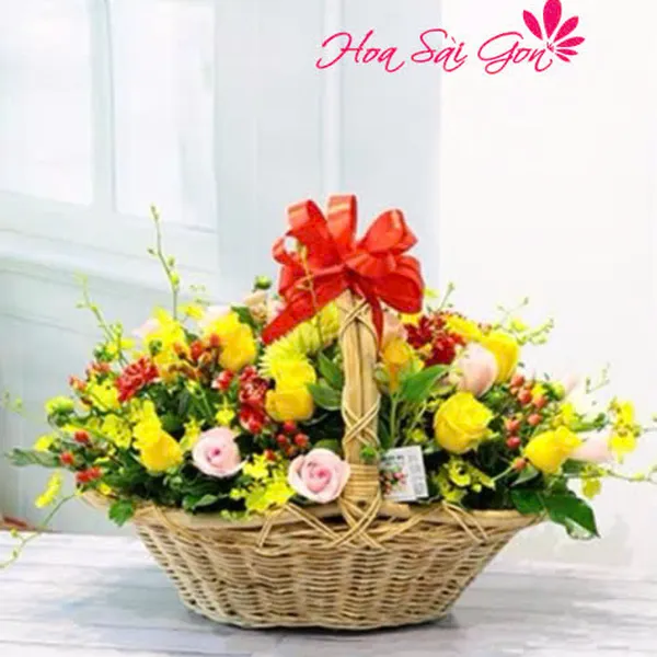 Ngày rực rỡ - HG163