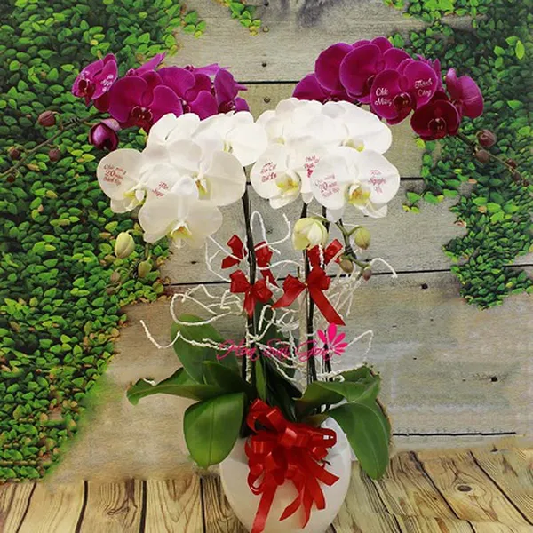 Ngày trong xanh PL47