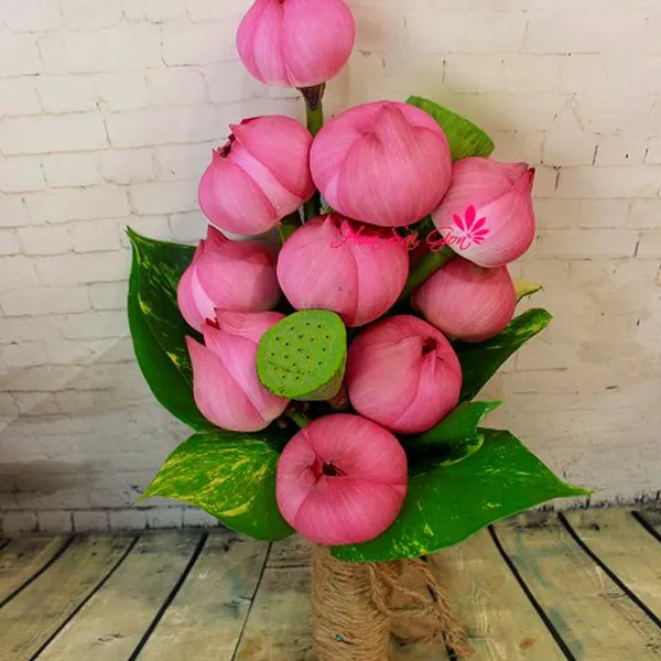 Ngọt ngào và bình yên HSG182