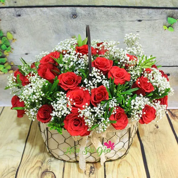 Người tôi yêu HSG235