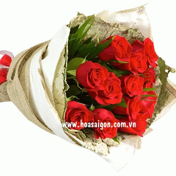 Ngưỡng mộ - TY158