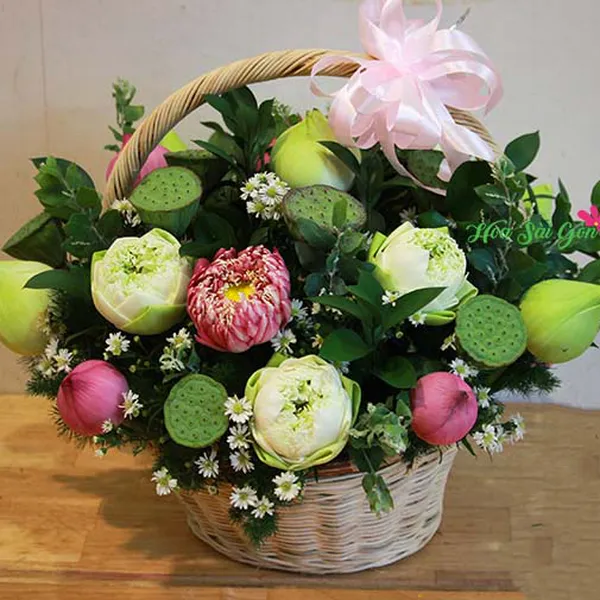 Nhắm mắt thấy mùa hè HSG230