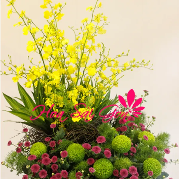 Nhịp sống xanh HSG93