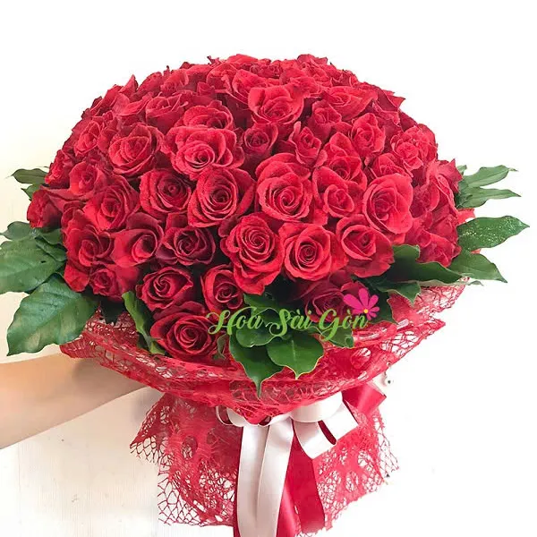 Nụ hôn bất ngờ HSG242