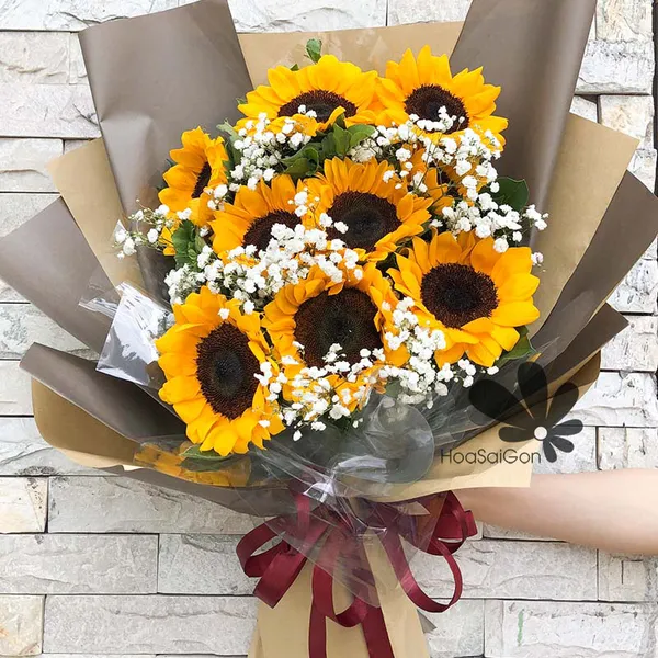 Rạng ngời HSG327