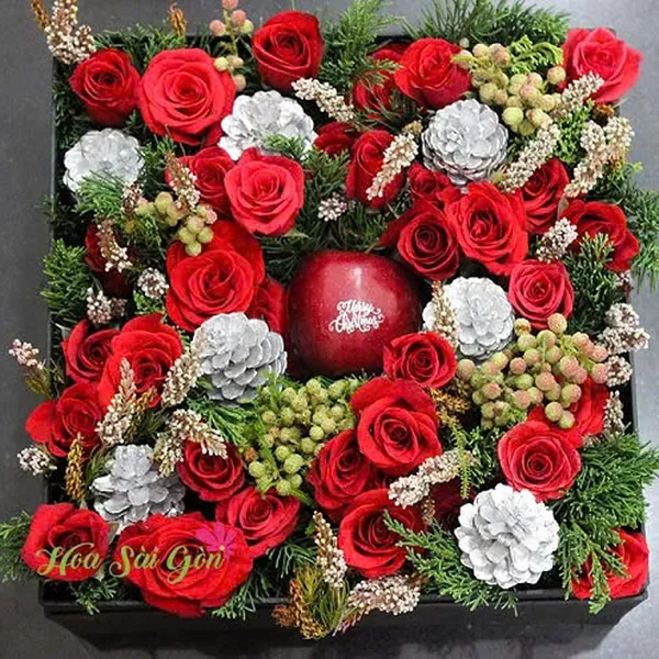 Rực rỡ đêm Giáng sinh HSG245