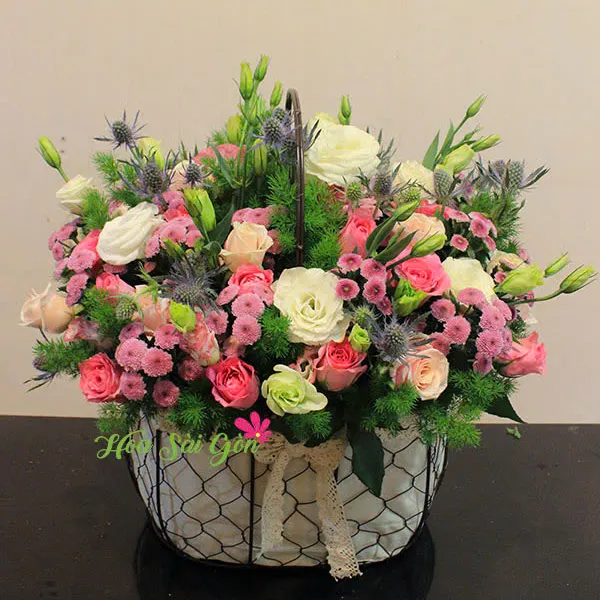 Sắc màu hạnh phúc HSG234