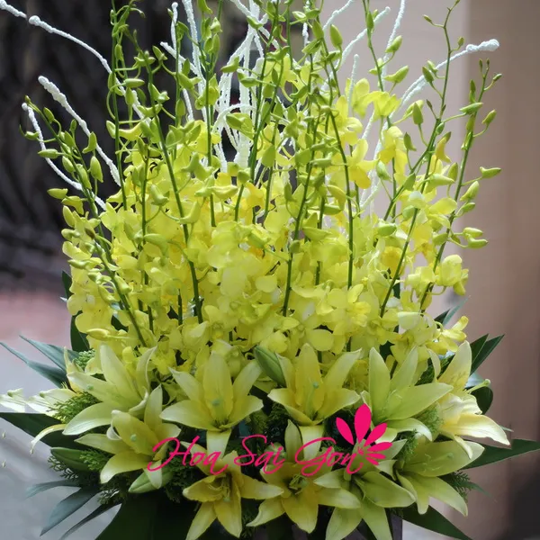 Sắc vàng - HSG114