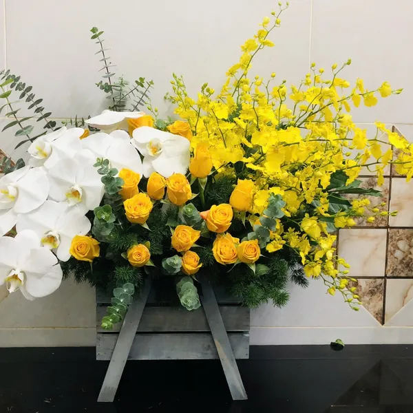 Sắc vàng rực rỡ - HSG363