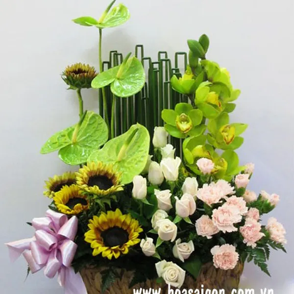 Sang trọng - HG112