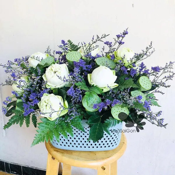 Sen trắng tinh khôi HSG336