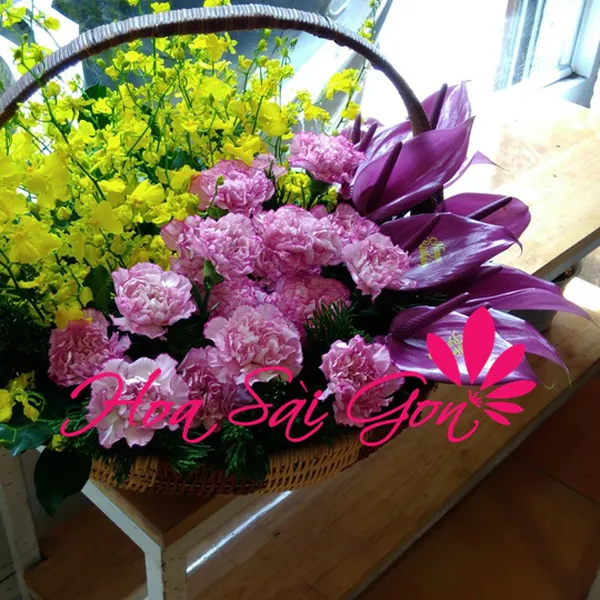 Tấm chân tình - HSG109