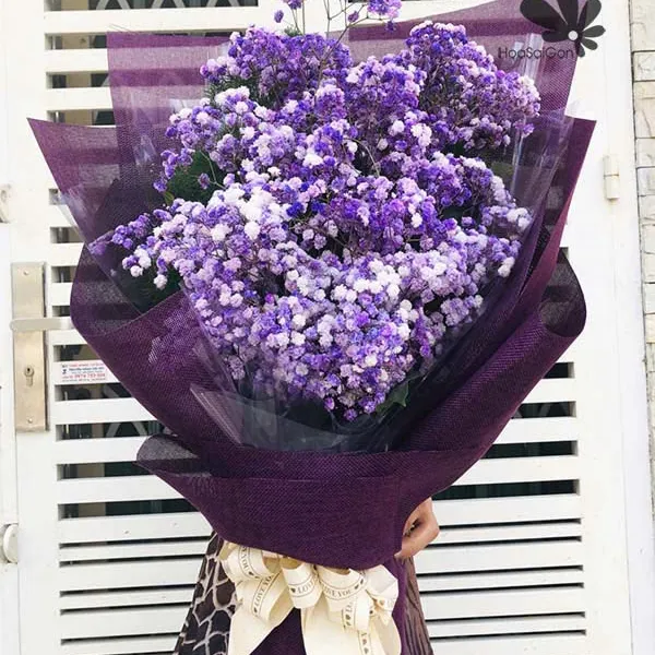 Tím mộng tím mơ HSG308