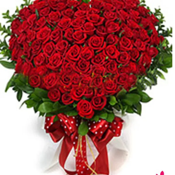 Tình chân thành - HSG61