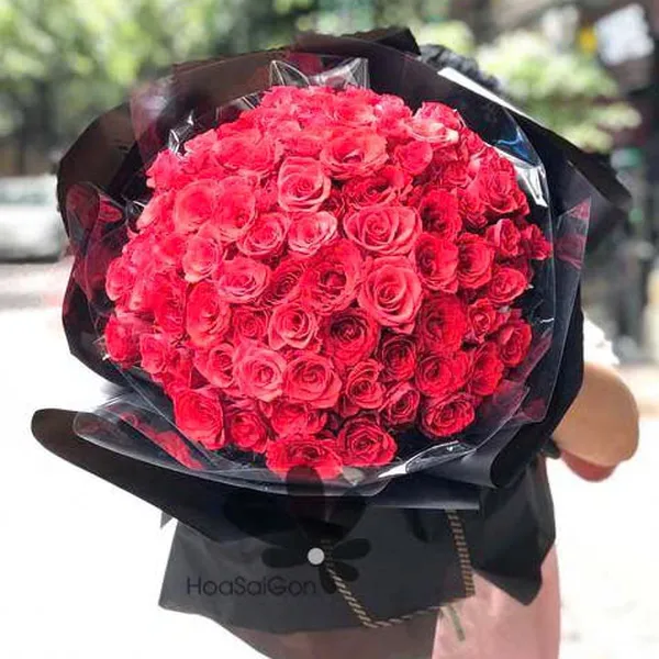 Tình đỏ xinh HSG294