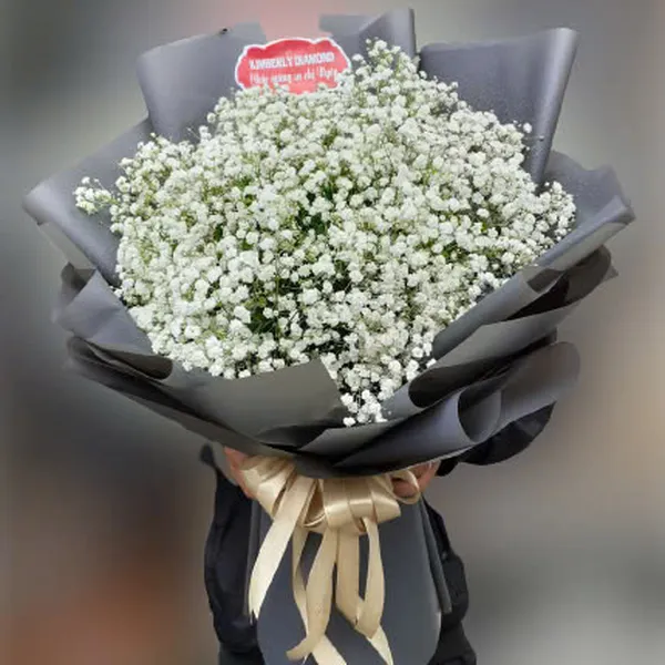 Tình ngọt ngào - HSG361