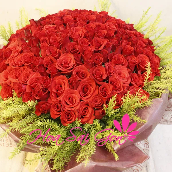 Tình nồng - TY242