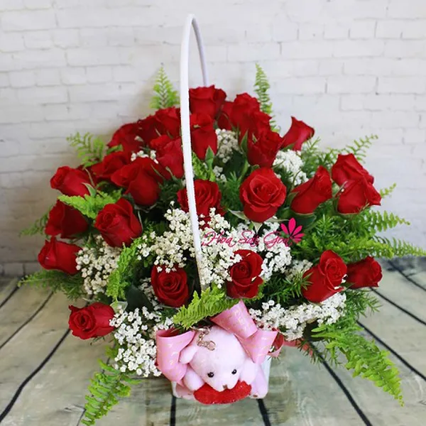 Tình yêu dịu dàng HSG202