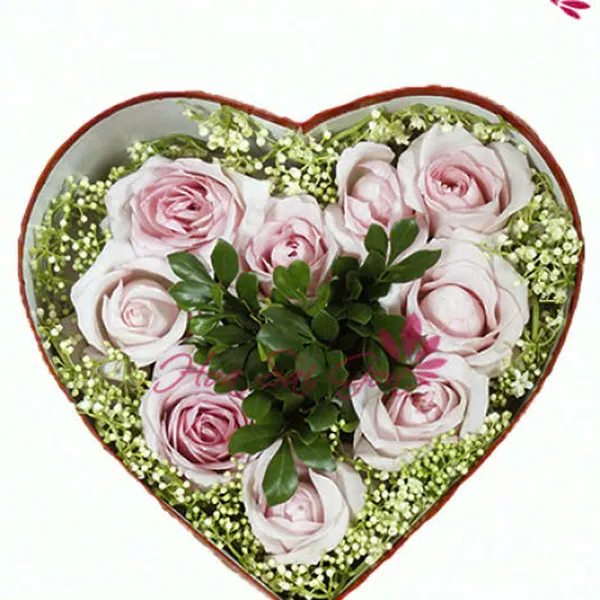 Tình yêu màu hồng HSG21