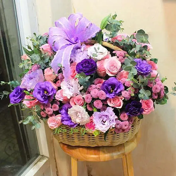 Tình yêu màu tím HSG250