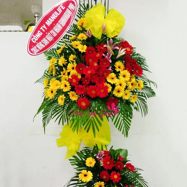 Tương lai rạng rỡ LH113