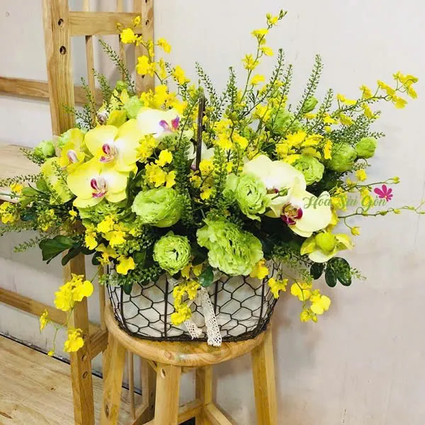 Ước mơ xanh HSG273