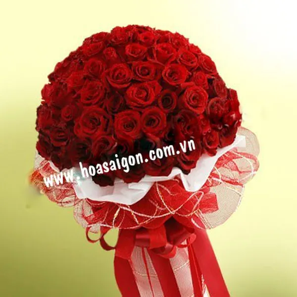 Vùng trời hạnh phúc - TY174