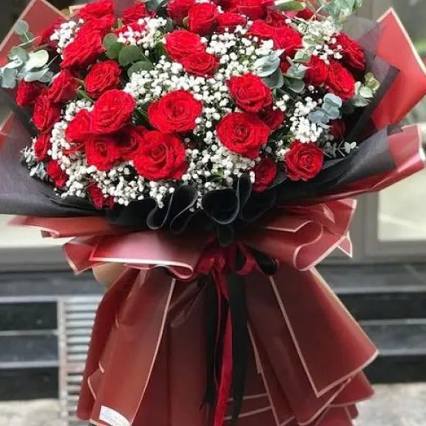 Hạnh Phúc Vẹn Tròn HSG366