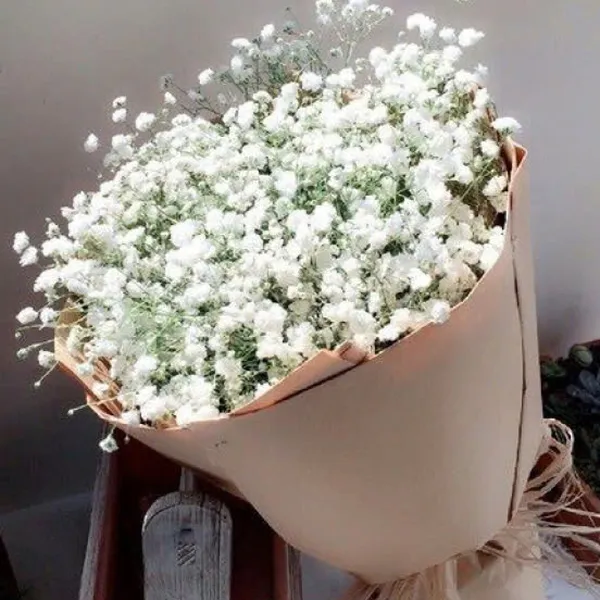 Em về tinh khôi - HSG362