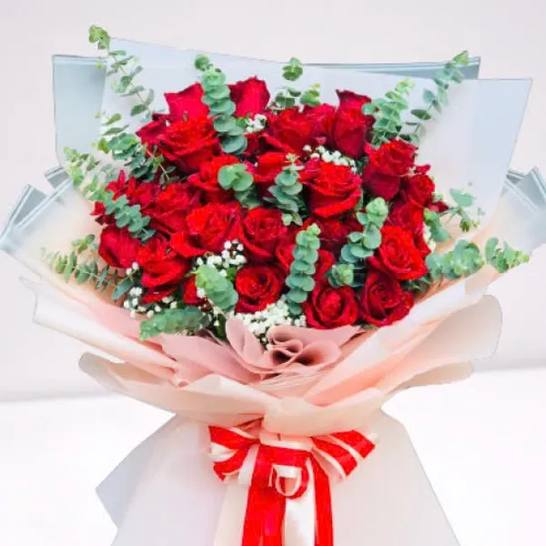 Hồng đỏ yêu thương - HSG356